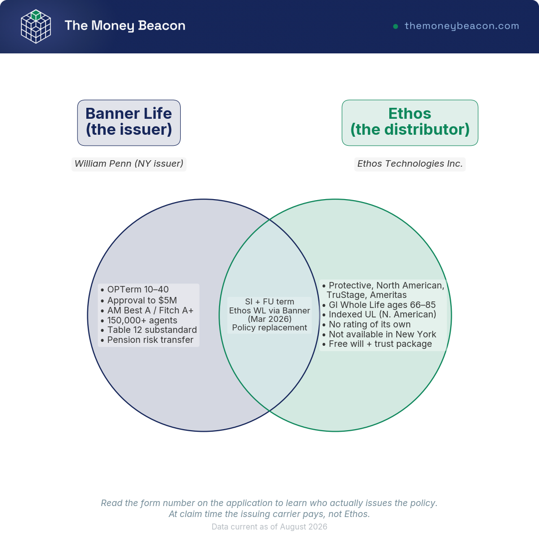 Venn diagram of two overlapping circles labeled issuer and distributor, with items listed in each circle and in the shared overlap.