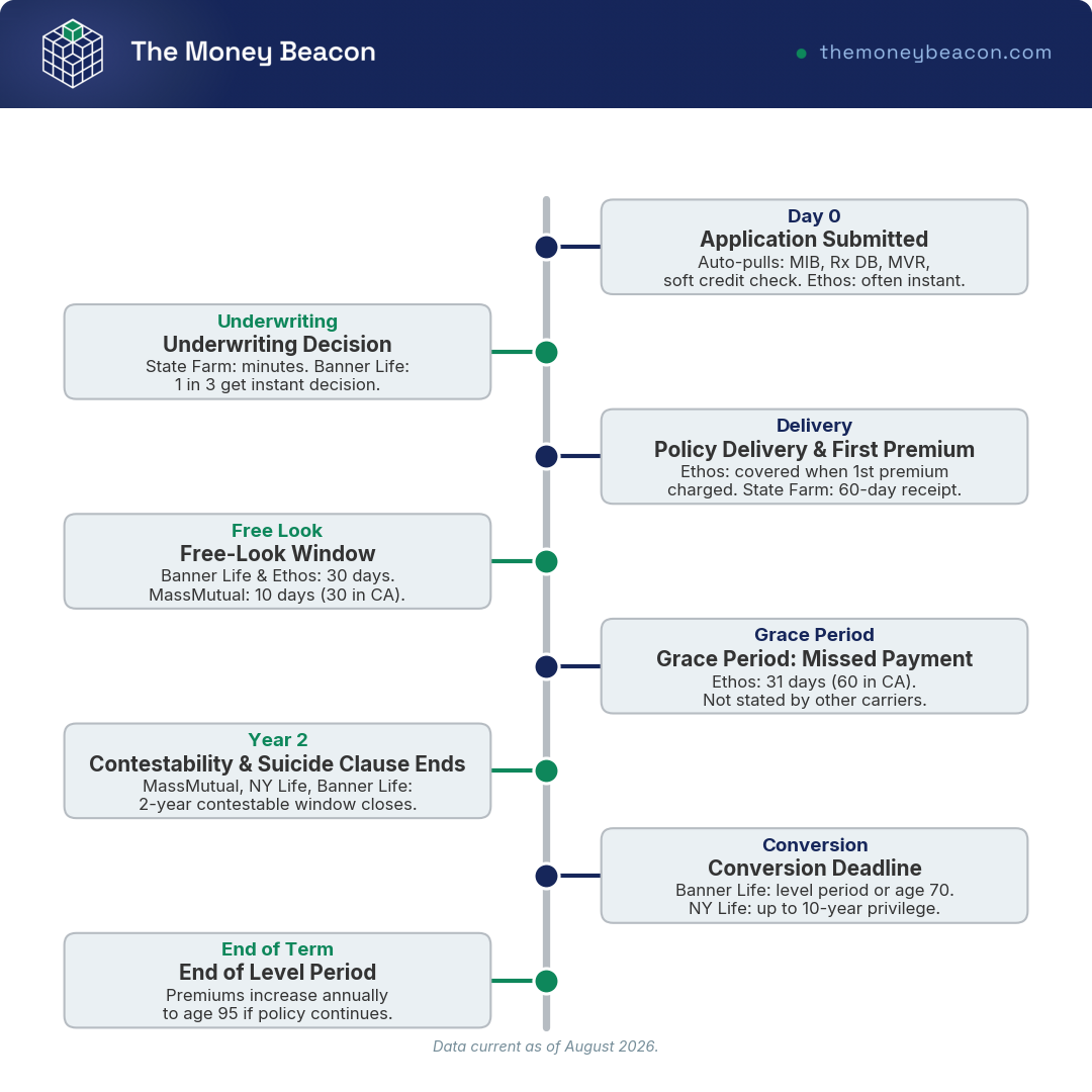 Annotated timeline with eight marked events along one horizontal axis, from application day zero to the end of the level term period.